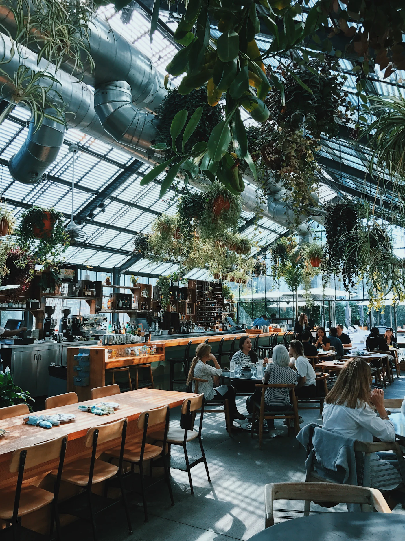 Guests enjoying a meal in a bright restaurant filled with hanging plants